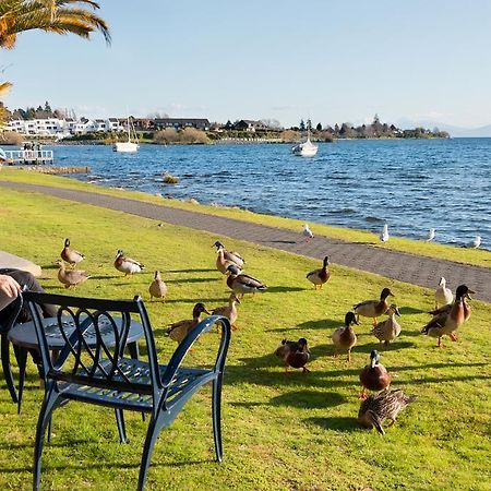 Oasis Beach Motel Lac Lac Taupo Extérieur photo