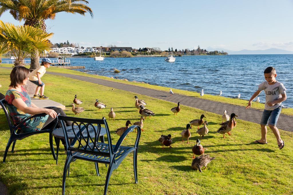 Oasis Beach Motel Lac Lac Taupo Extérieur photo